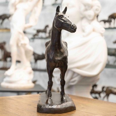SCULPTURE - CHEVAL À L'ARRÊT , EDMOND DRAPPIER (XIX-XXE SIÈCLE) - BRONZE
