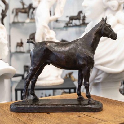 SCULPTURE - CHEVAL À L'ARRÊT , EDMOND DRAPPIER (XIX-XXE SIÈCLE) - BRONZE
