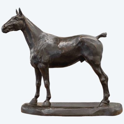 SCULTURA - CAVALLO A RIPOSO, EDMOND DRAPPIER (XIX-XX SECOLO) - BRONZO