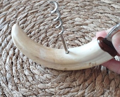 Warthog tusk mounted in a corkscrew shape and bottle opener