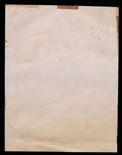Französische, russische oder deutsche Schule, um 1920, Frauenporträt, Rötelzeichnung