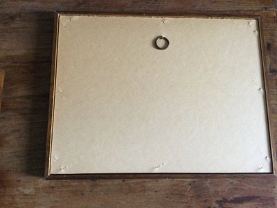 Gravure ornithologique anglaise XIXe 