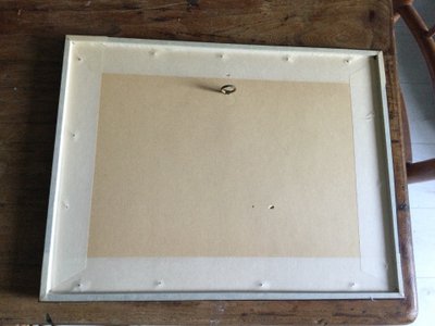 Gravure ornithologique anglaise XIXe 