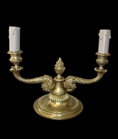 Pair of Louis XVI style lamps