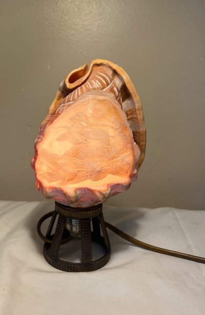 Seashell Nightlight