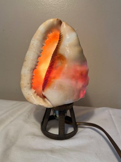 Seashell Nightlight