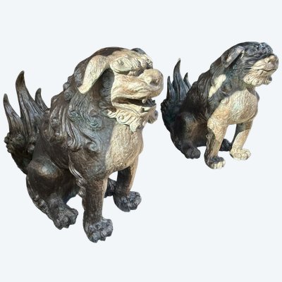 Importante coppia di leoni guardiani in bronzo - Altezza: 97 cm - Periodo Showa (1912-1989).