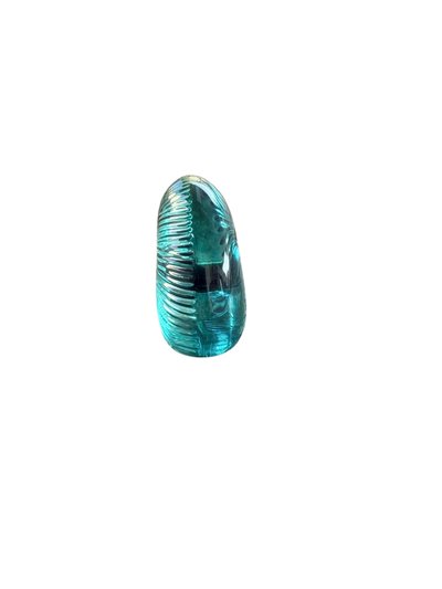 Baccarat – Nautile en cristal - Bleue clair