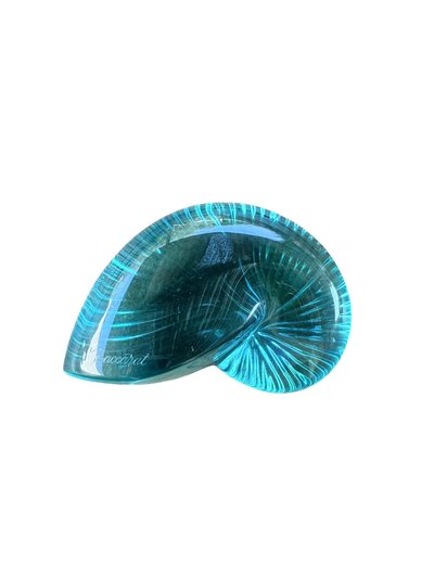 Baccarat – Nautile en cristal - Bleue clair