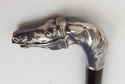 Canna con testa di cavallo