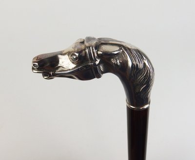 Canna con testa di cavallo