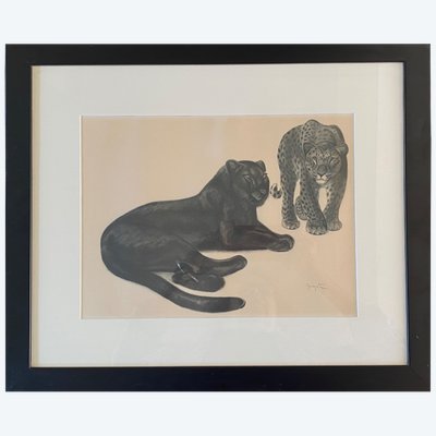 Georges Lucien Guyot. Lithografie. „Félins“. Hrsg. Lematte und Boinot. 1937.
