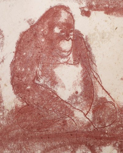 Mateo HERNÁNDEZ SÁNCHEZ, Orangutan