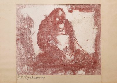 Mateo HERNÁNDEZ SÁNCHEZ, Orangutan