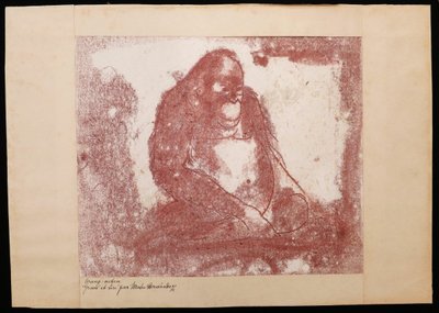 Mateo HERNÁNDEZ SÁNCHEZ, Orangutan