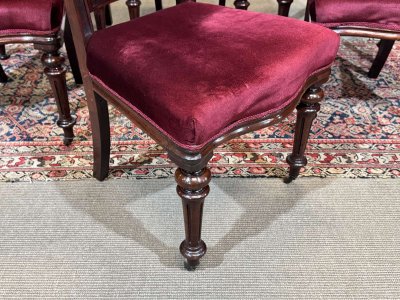 Suite de 6 chaises Victorienne XIXème en acajou