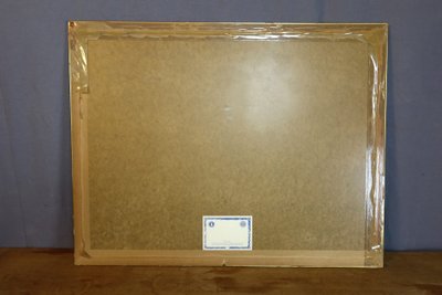 Grande gravure " l'Académie de l'Espée "