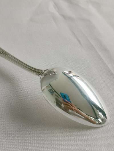 Set di 12 cucchiaini da dessert Ercuis Louis XV du Barry, placcati in argento, 18,8 cm.