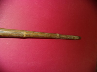 Walking cane, carved mastiff-head handle, 19th century.