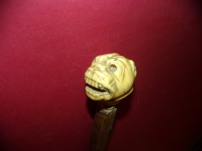 Walking cane, carved mastiff-head handle, 19th century.