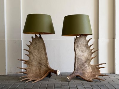 Coppia di lampadari