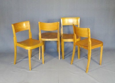 Horgen Glarus chair - Switzerland - circa 1960, golden oak, stackable