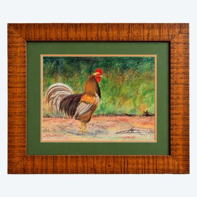 Rooster – mixed media / pastel – signed – wooden frame