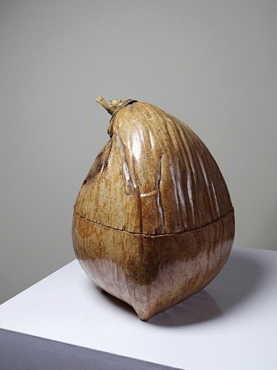 Curiosité boite vintage années 50-60 coco naturalisé seau à glaçons
