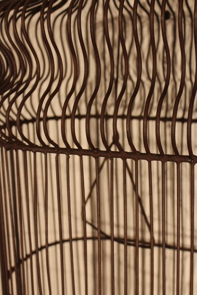 Beautiful Birdcage