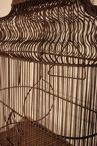 Beautiful Birdcage