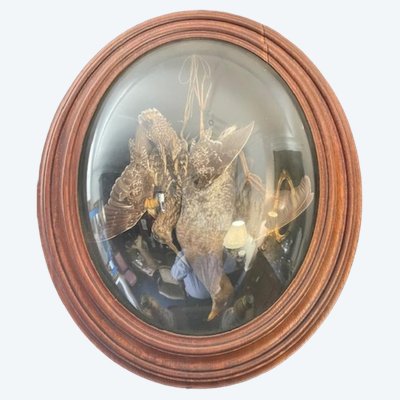 Ausgestopfte Vögel in einem ovalen Rahmen aus Holz und gewölbtem Glas.