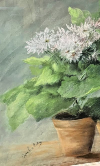Pastell, Topfpflanzen