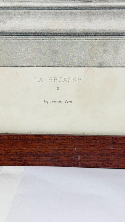 D'après Édouard Traviès – La Bécasse – Lithographie couleur XIXe