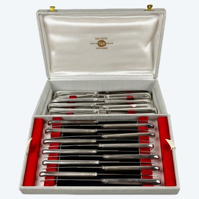 Set da 24 coltelli in metallo argentato SFAM, modello da filetto