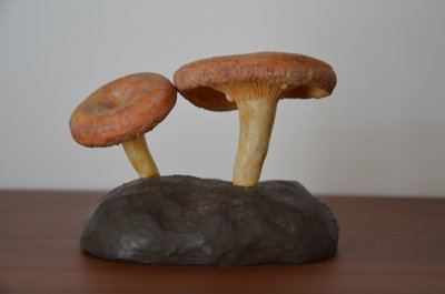 Objet scientifique Champignon DEYROLLE Lactaire Toisonné Circa 1960-1980