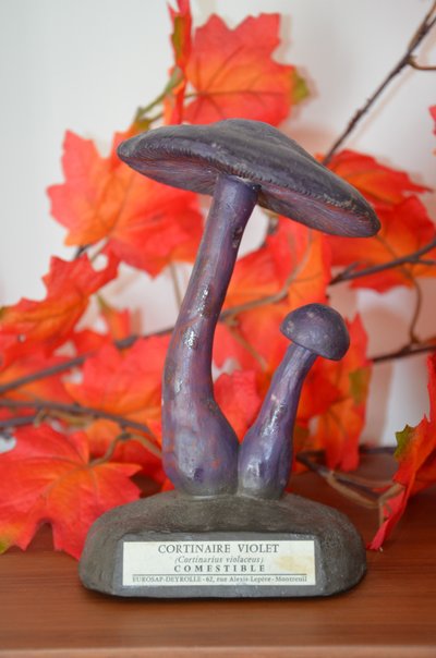 Champignon DEYROLLE Cortinaire Violet Circa 1960-1980