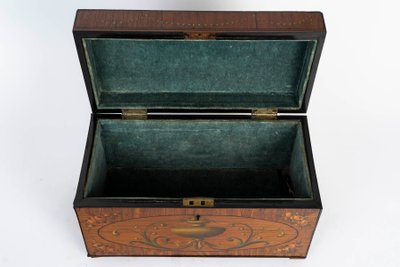 Painted satinwood box, England, 18th century