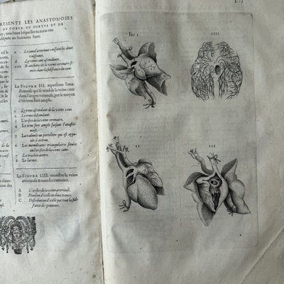 The Complete Anatomical Works of André du Laurens, dated 1621