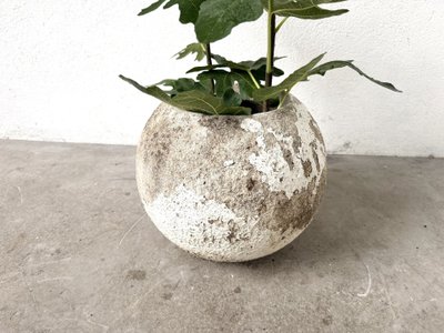 Spherical fiber-cement planter, DLG Willy Guhl, 1960s