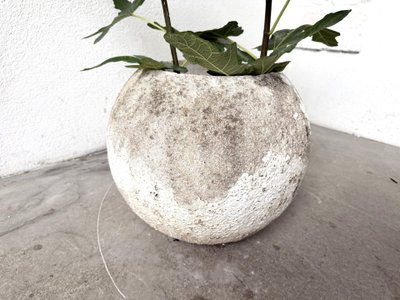 Spherical fiber-cement planter, DLG Willy Guhl, 1960s