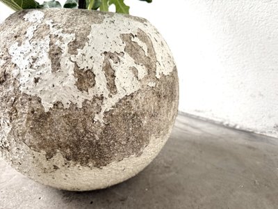 Spherical fiber-cement planter, DLG Willy Guhl, 1960s