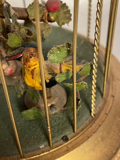 cage à oiseaux chanteurs automates