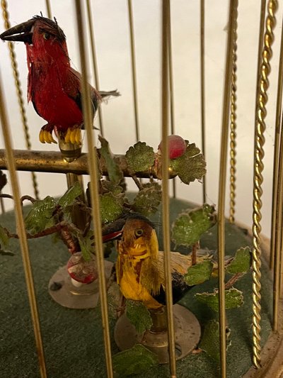 cage à oiseaux chanteurs automates