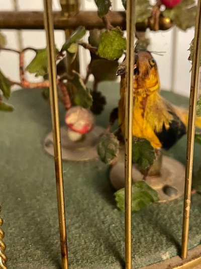 cage à oiseaux chanteurs automates