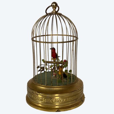 cage for automatic songbirds