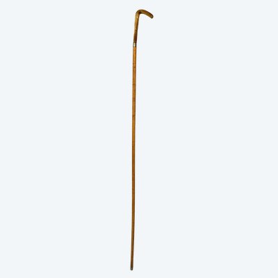 A slender walking stick made of light-colored wood, with a light-colored horn knob