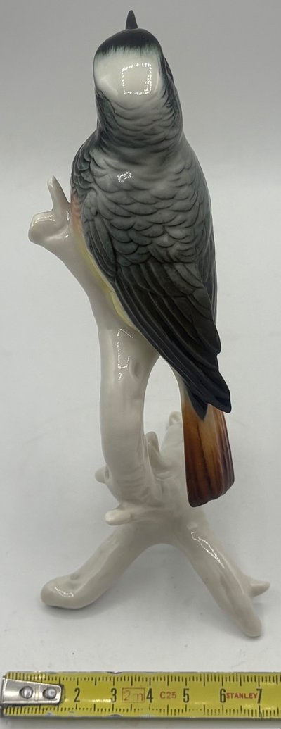 RED TAIL by Karl Hens