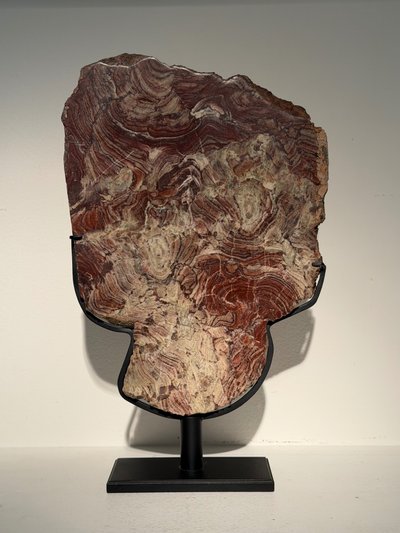 Plaque de stromatolite fossile polie 