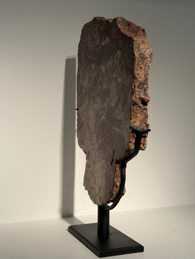 Plaque de stromatolite fossile polie 