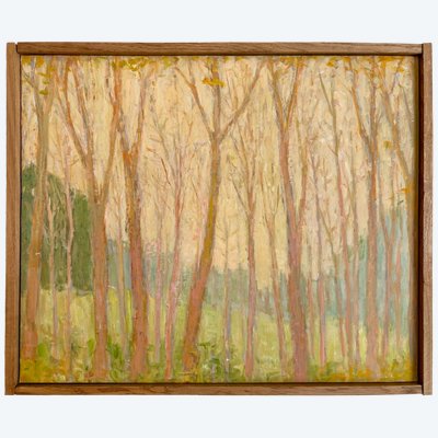 ARIANE PROKHOROFF (1926–2018): GROVE, OIL ON CANVAS.